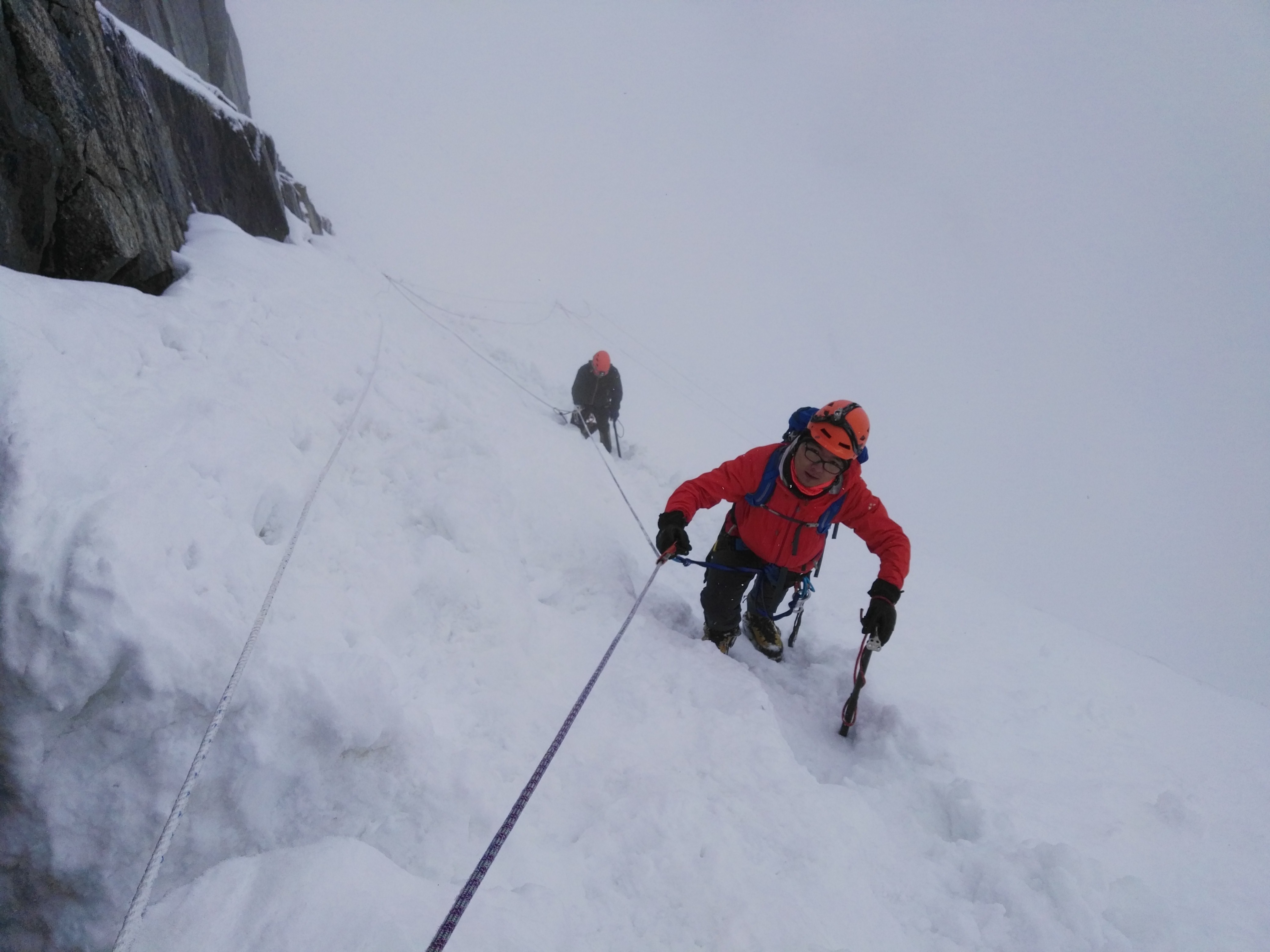 IMG_20160610_082329.jpg IMG_20160610_082329.jpg