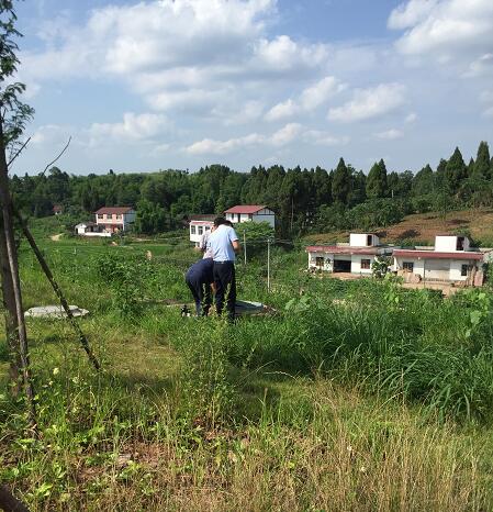 QQ截圖20170627173214.jpg QQ截圖20170627173214.jpg