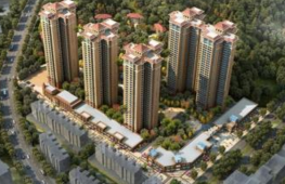 廣元蓮花村二次供水項(xiàng)目落實(shí)